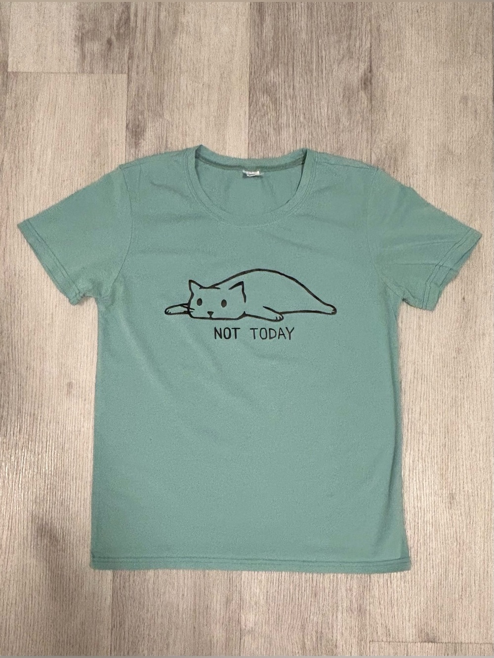 Mint Green "Not Today" Cat Graphic T-Shirt